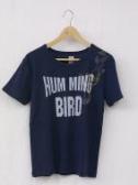 <seminead> "bird" TEE